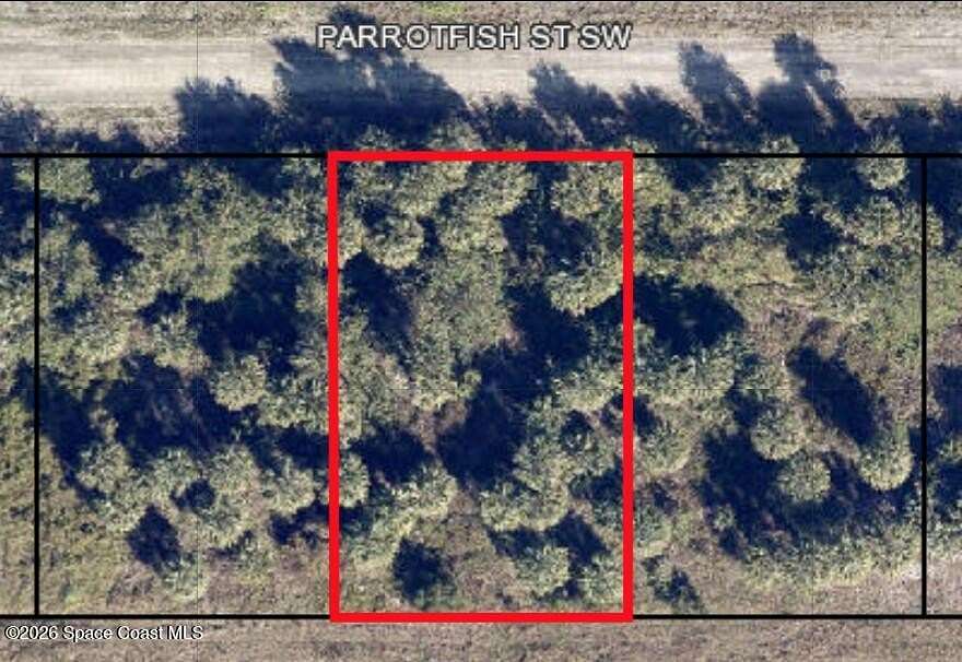0.23 Acres of Land for Sale in Palm Bay, Florida