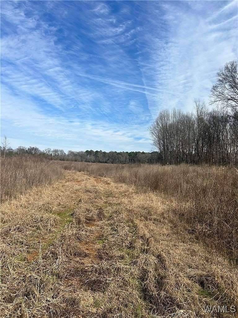 20 Acres of Recreational Land for Sale in Moundville, Alabama