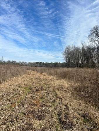 20 Acres of Recreational Land for Sale in Moundville, Alabama