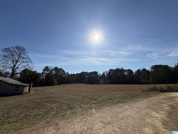 40 Acres of Land for Sale in Brookwood, Alabama