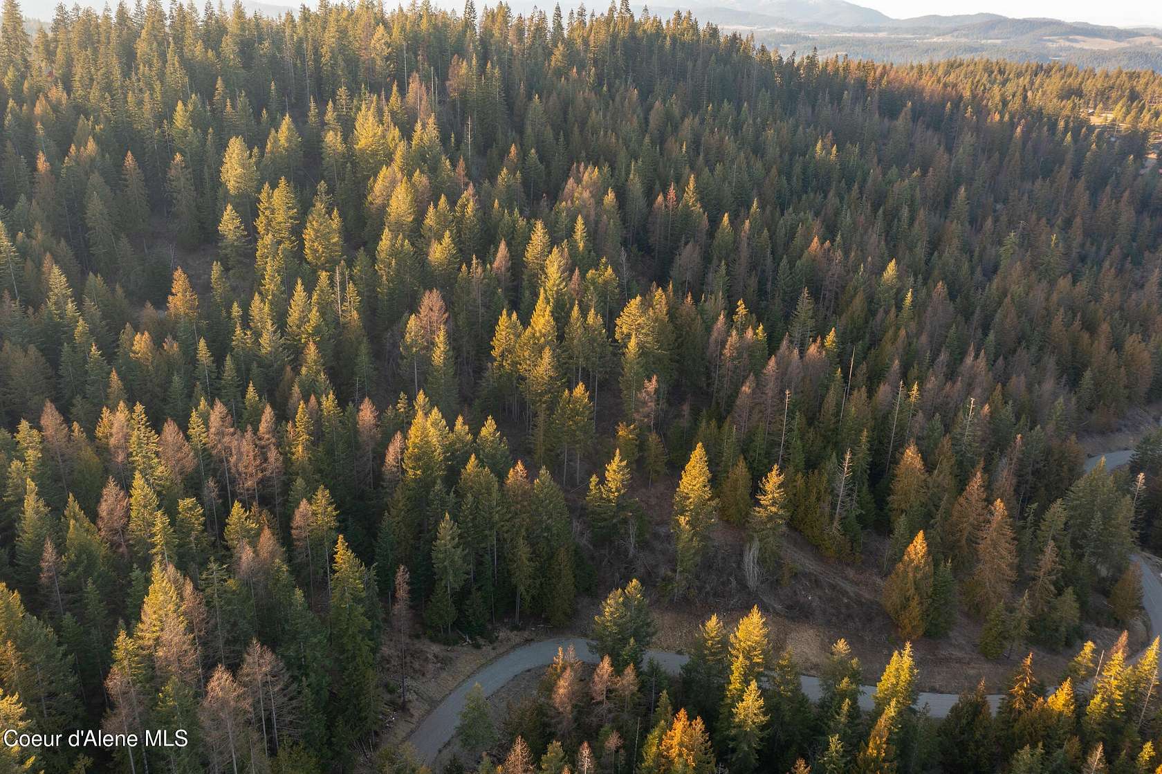 14.8 Acres of Recreational Land for Sale in Harrison, Idaho