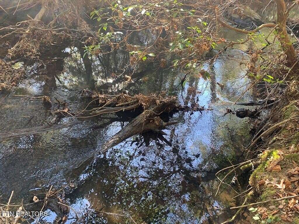 15 Acres of Land for Sale in Spencer, Tennessee