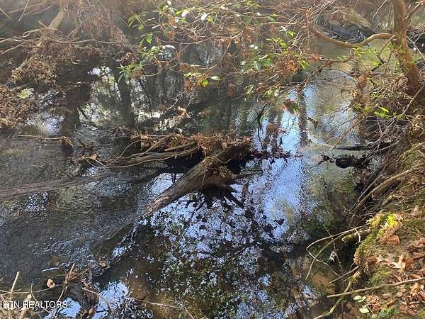 15 Acres of Land for Sale in Spencer, Tennessee