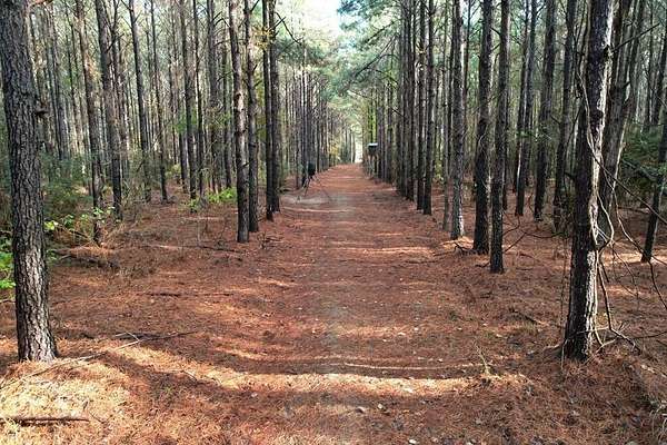 10 Acres of Recreational & Residential Land for Sale in Lovelady, Texas