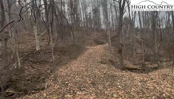 5 Acres of Residential Land for Sale in Crumpler, North Carolina