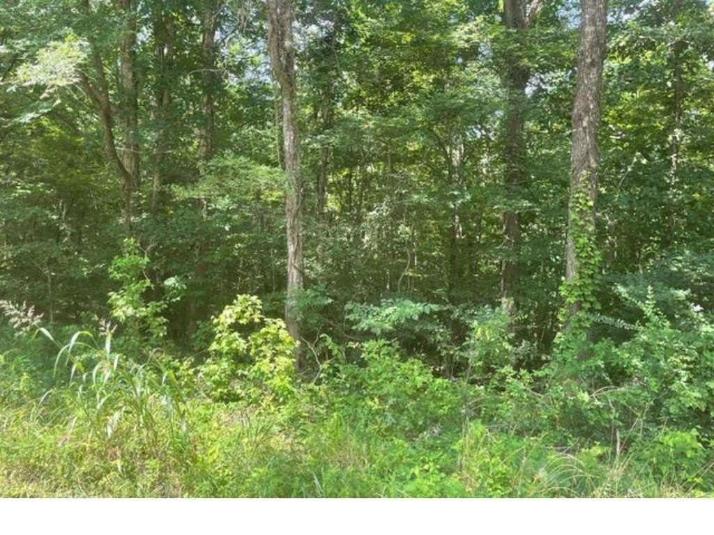 2.7 Acres of Residential Land for Sale in Savage, Mississippi