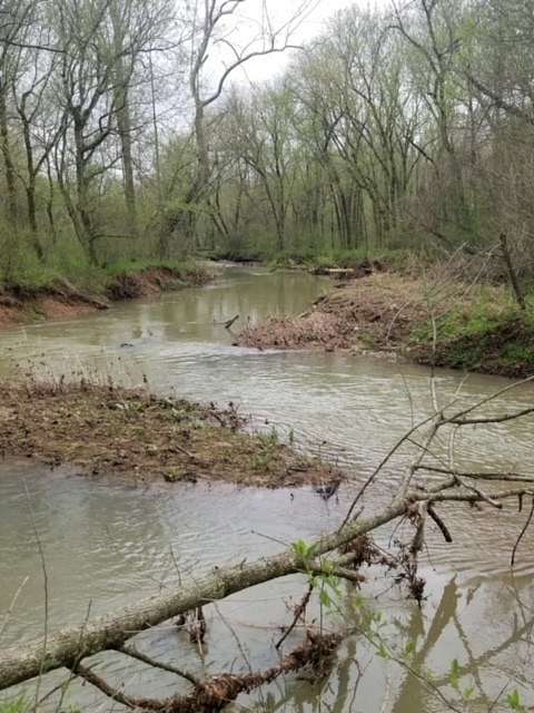 22.3 Acres of Recreational Land for Sale in Dover, Tennessee