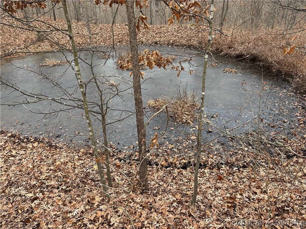 29.5 Acres of Land for Sale in Lebanon, Missouri