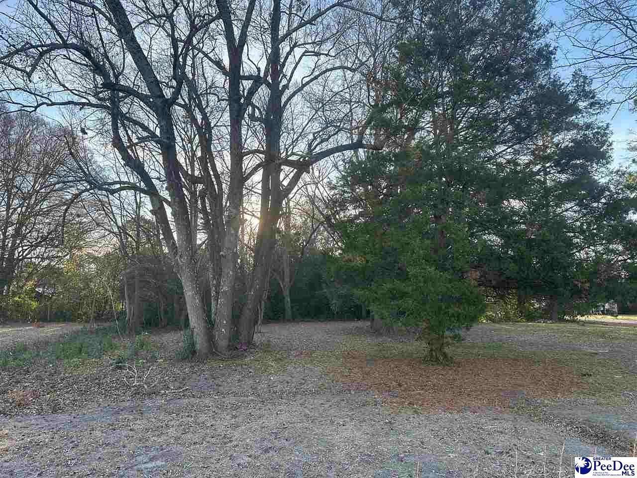0.2 Acres of Residential Land for Sale in Dillon, South Carolina