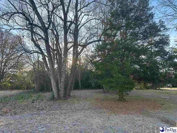 0.2 Acres of Residential Land for Sale in Dillon, South Carolina