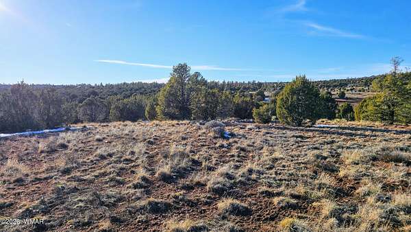 15 Acres of Land for Sale in Clay Springs, Arizona
