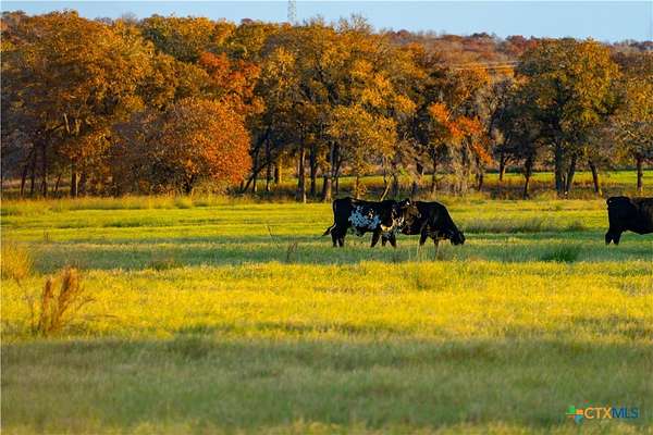100 Acres of Recreational Land & Farm for Sale in Seguin, Texas