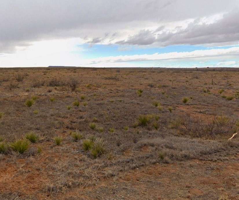 5 Acres of Residential Land for Sale in Adero Az, New Mexico