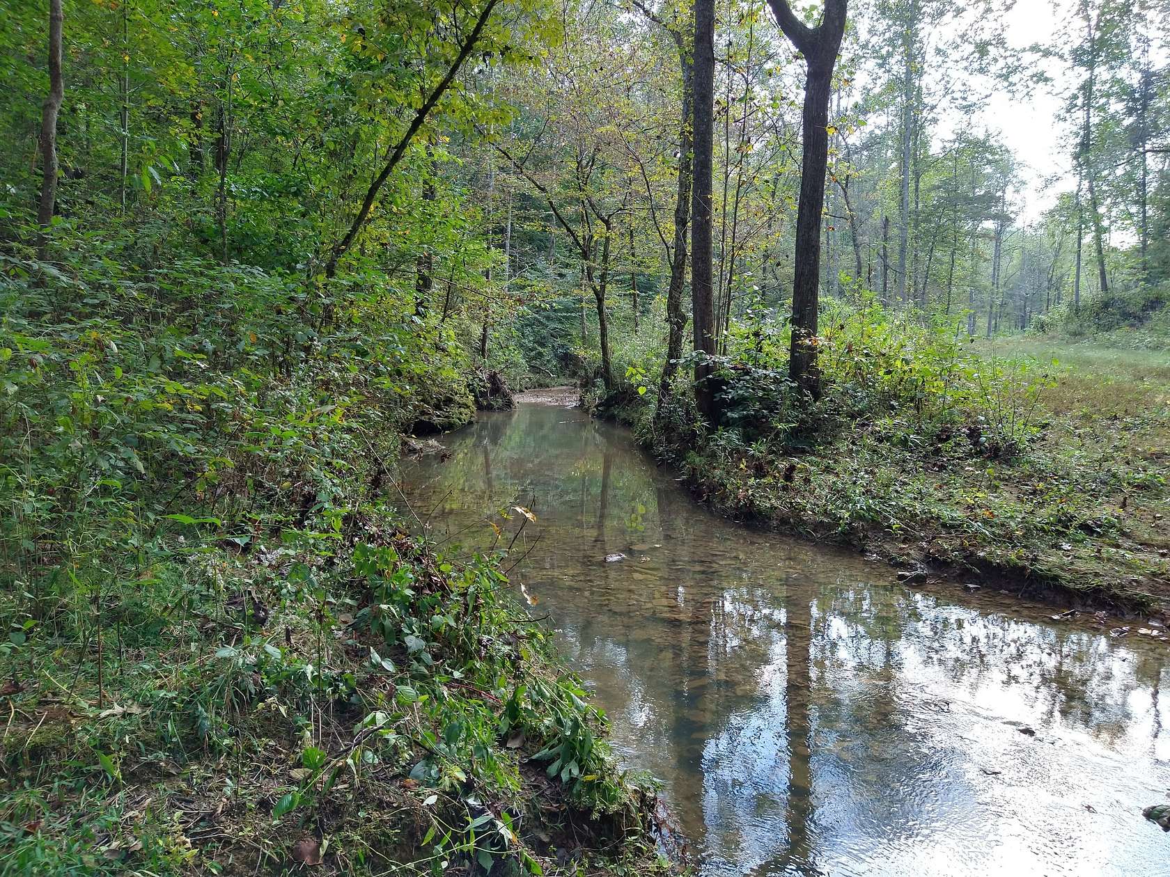 68 Acres of Land for Sale in Smithville, Tennessee