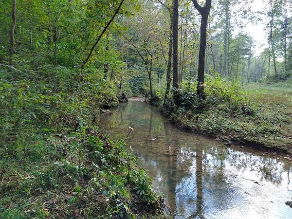 68 Acres of Land for Sale in Smithville, Tennessee