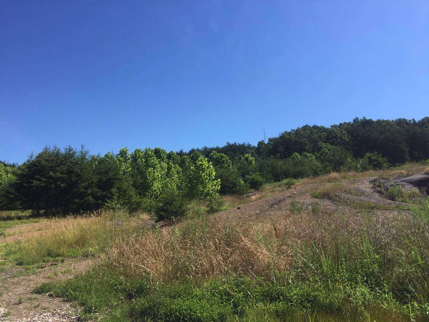 75 Acres of Recreational Land for Sale in Sandy Hook, Kentucky