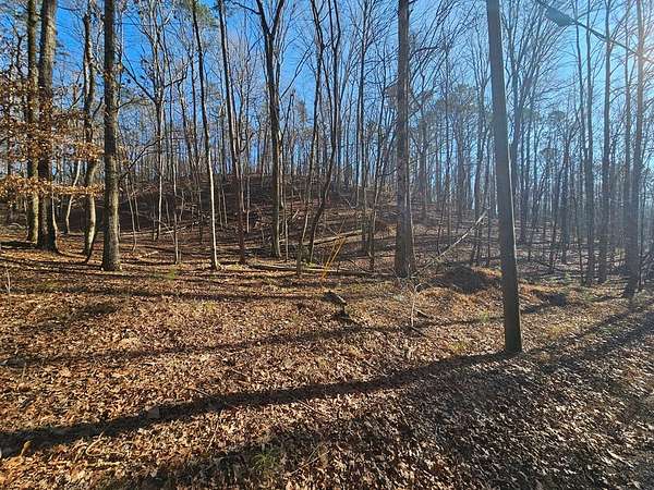 0.93 Acres of Residential Land for Sale in Ellijay, Georgia