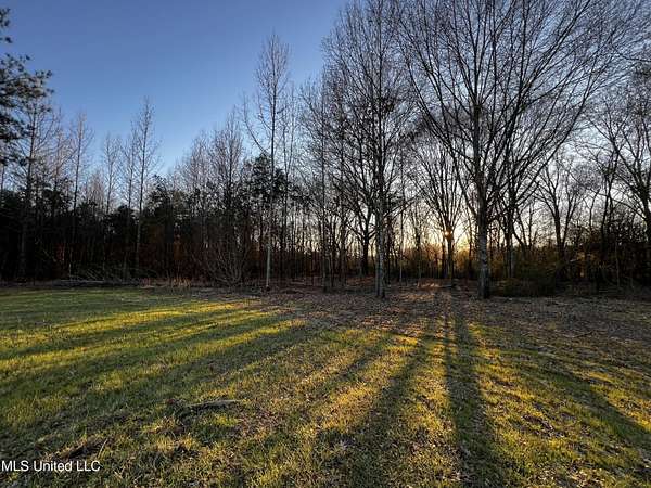 7.48 Acres of Residential Land for Sale in Flora, Mississippi