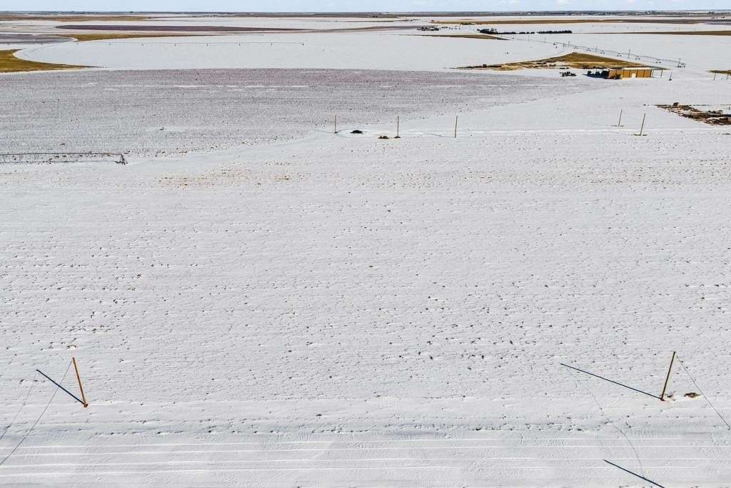 1.17 Acres of Residential Land for Sale in Seminole, Texas