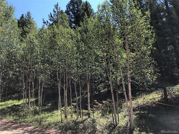 0.61 Acres of Residential Land for Sale in Florissant, Colorado