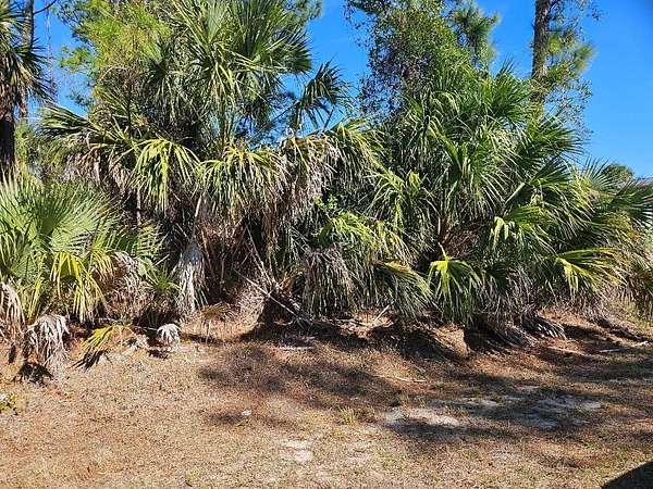 0.23 Acres of Residential Land for Sale in North Port, Florida
