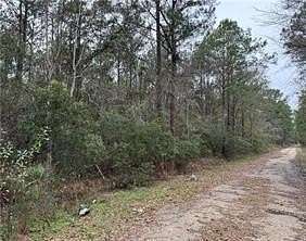 5 Acres of Residential Land for Sale in Lacombe, Louisiana