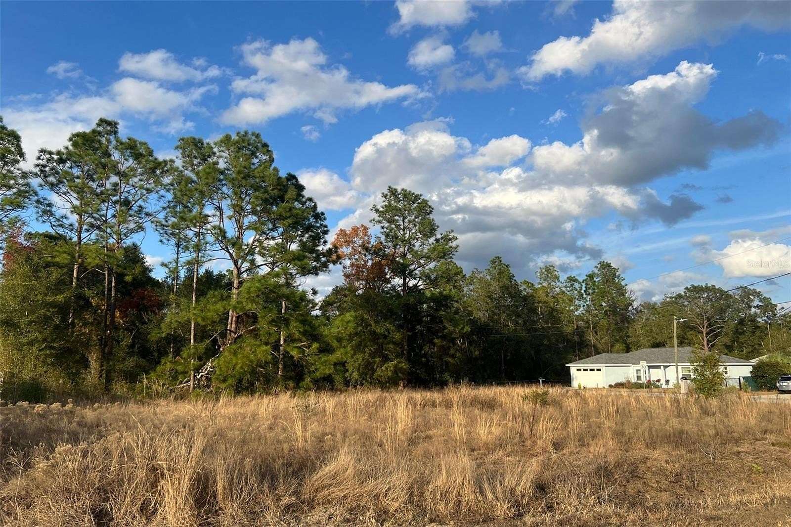 0.29 Acres of Residential Land for Sale in Summerfield, Florida