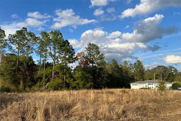 0.29 Acres of Residential Land for Sale in Summerfield, Florida