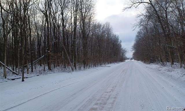 42 Acres of Recreational Land for Sale in China Township, Michigan