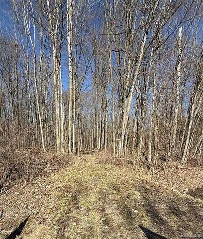 42 Acres of Recreational & Residential Land for Sale in China Township, Michigan