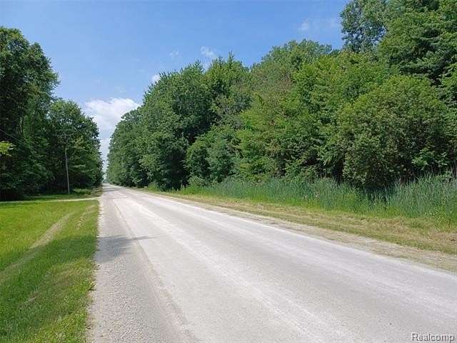 42 Acres of Recreational & Residential Land for Sale in China Township, Michigan