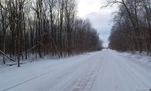 42 Acres of Recreational Land for Sale in China Township, Michigan