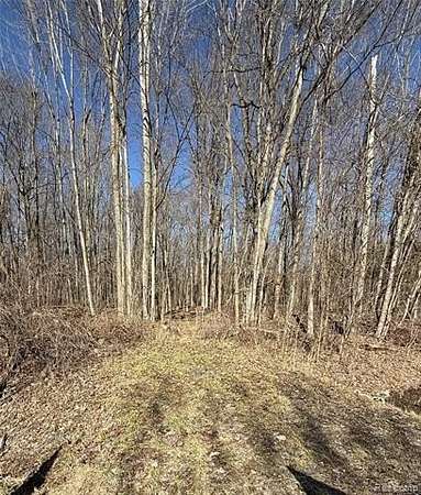 42 Acres of Recreational & Residential Land for Sale in China Township, Michigan
