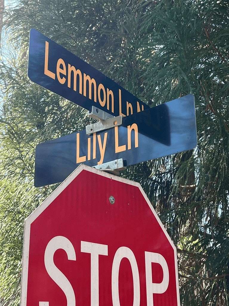 1.48 Acres of Residential Land for Sale in Ellijay, Georgia