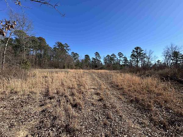 71 Acres of Recreational & Residential Land for Sale in Floral, Arkansas