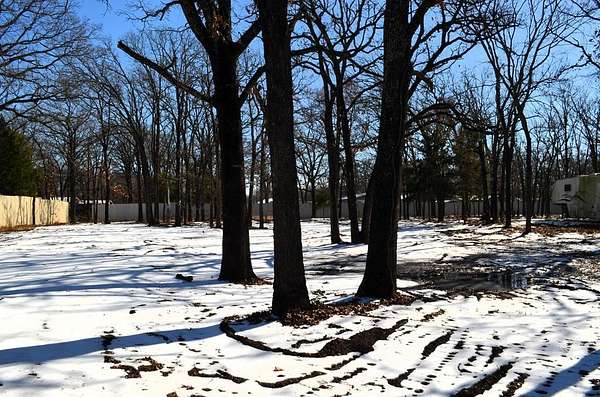 0.36 Acres of Residential Land for Sale in Gun Barrel City, Texas