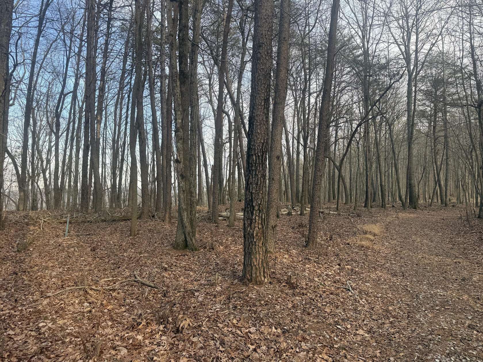 1.6 Acres of Residential Land for Sale in Rising Fawn, Georgia