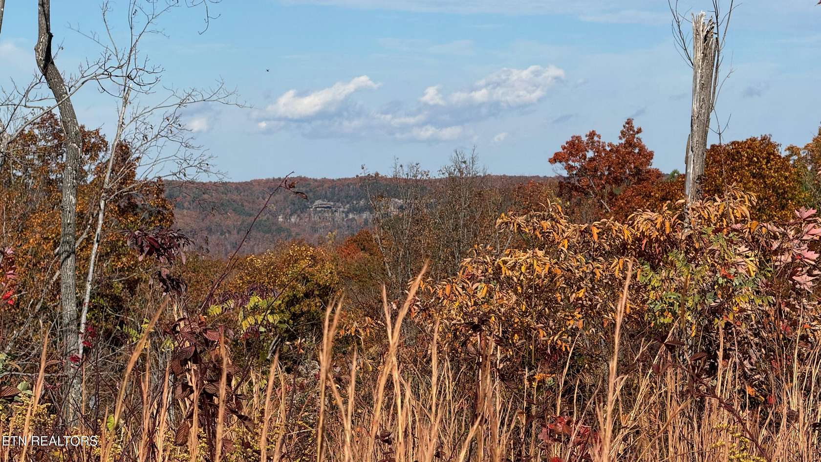 17.6 Acres of Land for Sale in Jamestown, Tennessee