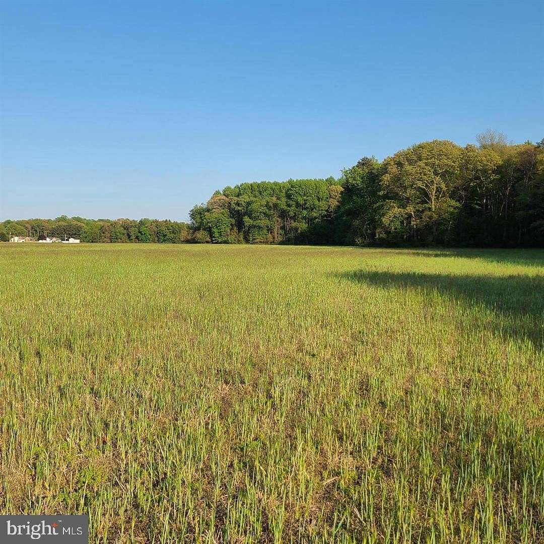 20 Acres of Land for Sale in Magnolia, Delaware