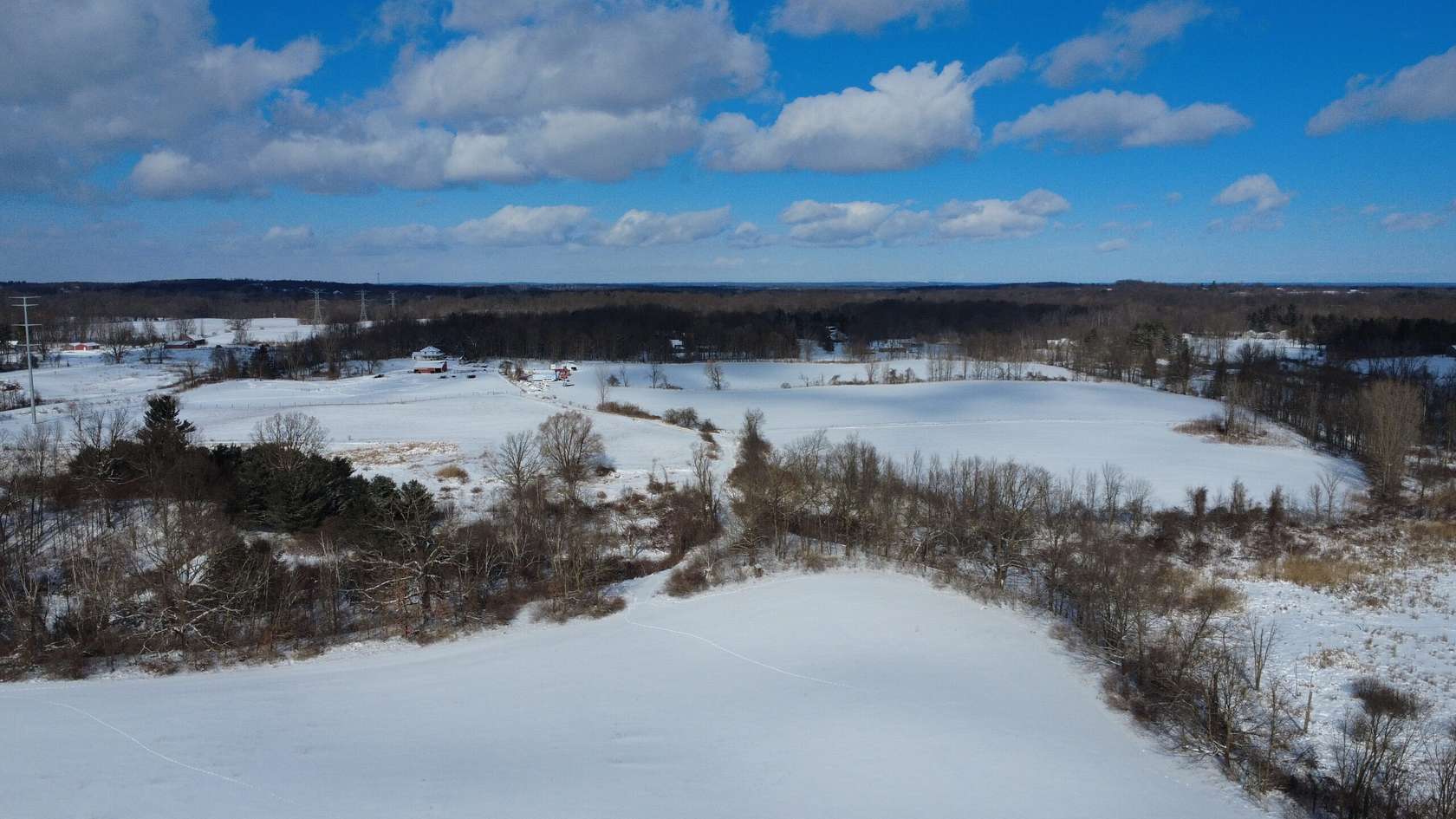 80 Acres of Land for Sale in Leonard, Michigan