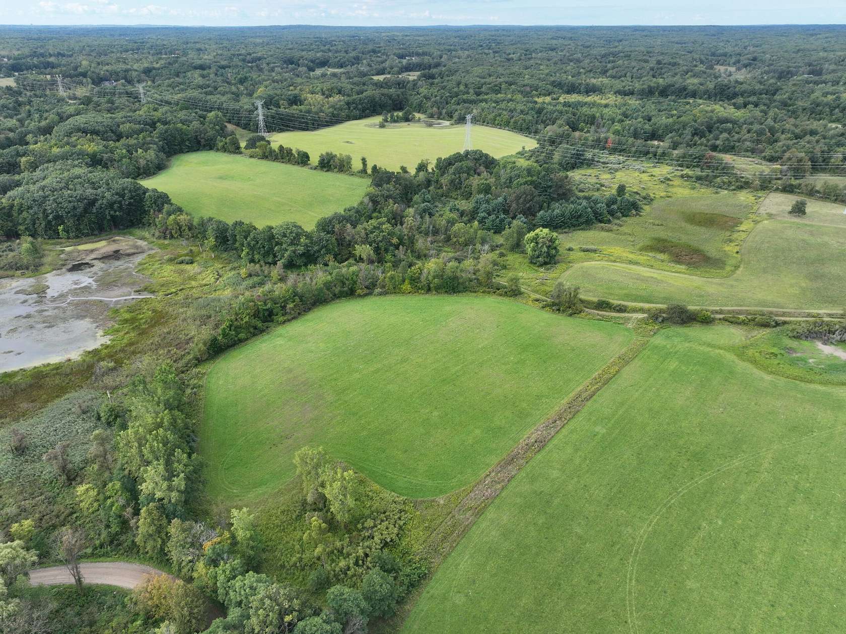 80 Acres of Land for Sale in Leonard, Michigan
