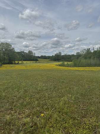 181 Acres of Land for Sale in Buena Vista, Tennessee