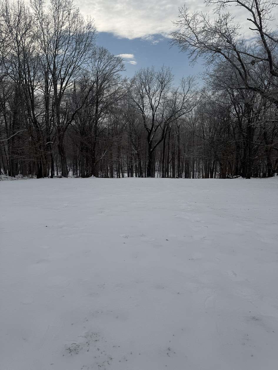 2 Acres of Residential Land with Home for Sale in Adams, Tennessee