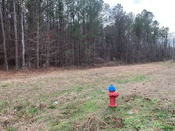 5.2 Acres of Commercial Land for Sale in Steele, Alabama