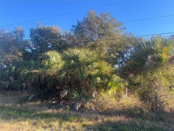 0.25 Acres of Residential Land for Sale in Lehigh Acres, Florida