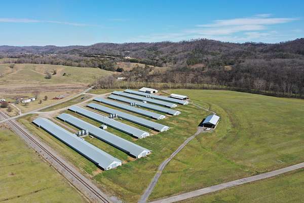 16 Acres of Land for Sale in Whitesburg, Tennessee