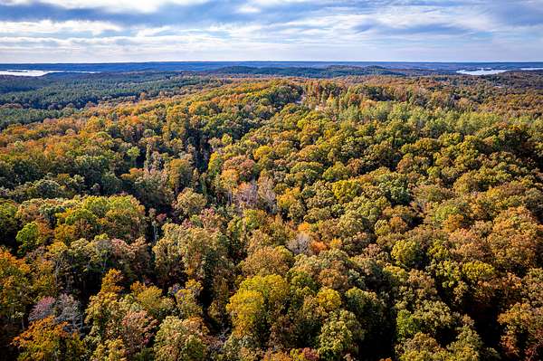11 Acres of Land for Sale in Waverly, Tennessee