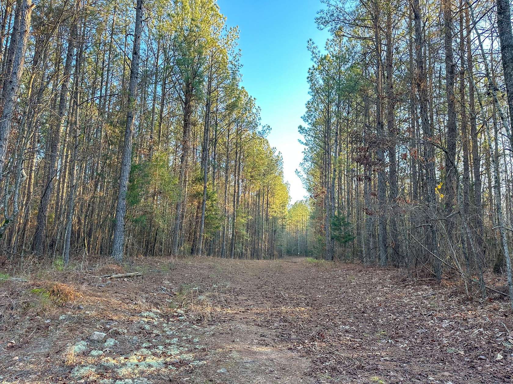 6 Acres of Residential Land for Sale in Waverly, Alabama