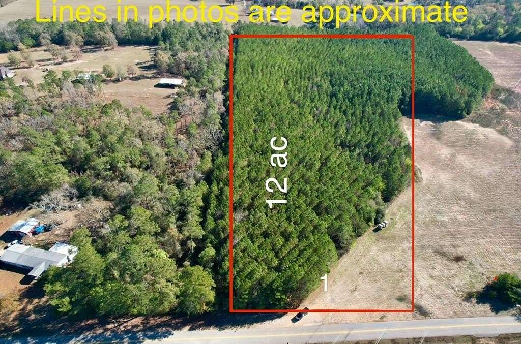 12 Acres of Land for Sale in Headland, Alabama