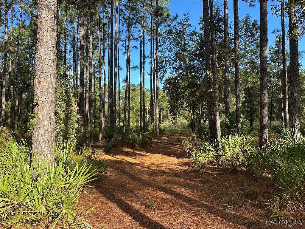 2.75 Acres of Residential Land for Sale in Beverly Hills, Florida